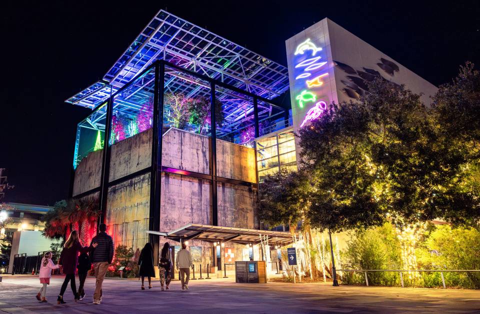 South Carolina Aquarium with glowing lights